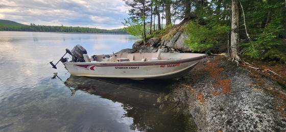 A boat pulled up on the shore of Craig Pond