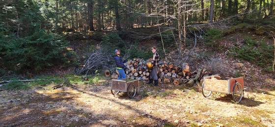 Split firewood ready for the cabin stoves