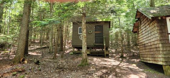 Cabins scattered through the woods at Craig Pond