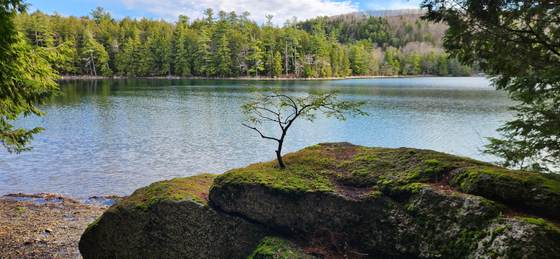 Open water and a rock ledge on the far shore of Craig Pond