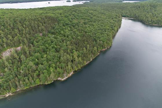 Craig Pond and the surrounding woods from the air