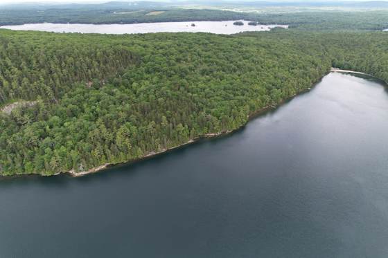 Aerial view along the length of Craig Pond