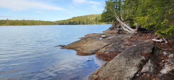 Granite shoreline along the edge of Craig Pond