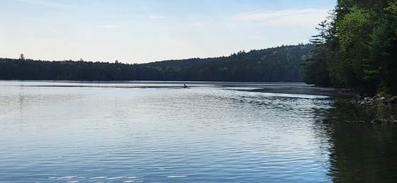 The long view down Craig Pond