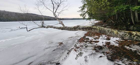 Craig Pond frozen over from shore to shore