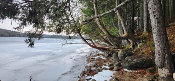 The frozen shoreline of Craig Pond