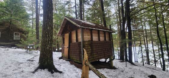 An outbuilding in the winter woods